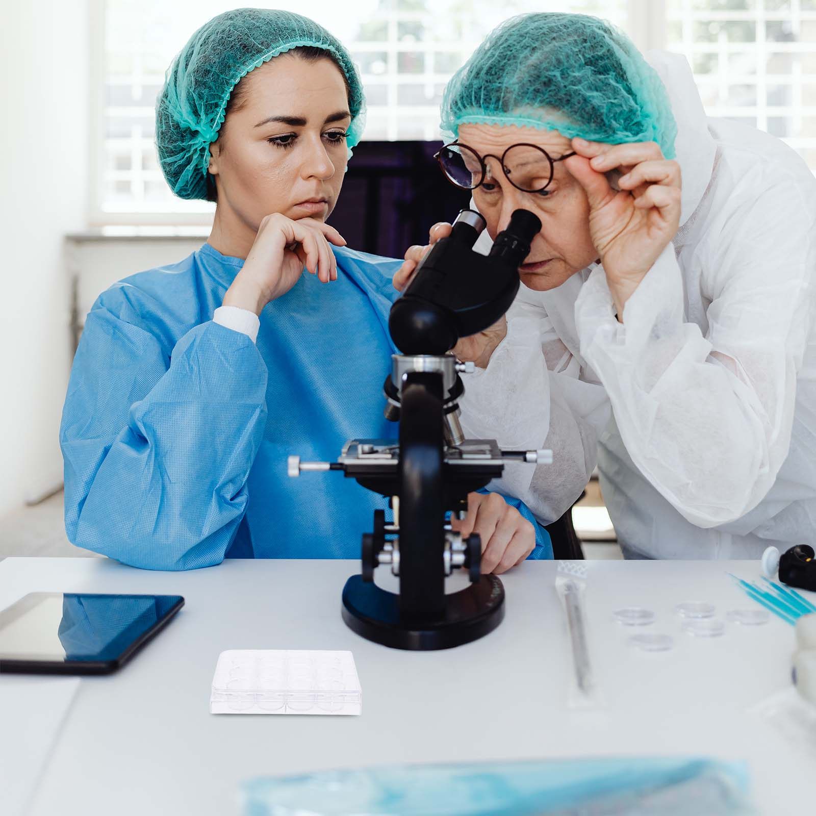 Lab Equipment - ถาดเพาะเลี้ยงเซลล์แบบ 12 ช่อง อุปกรณ์สำหรับการทดลองในห้องปฏิบัติการ มั่นคง น่าเชื่อถือ