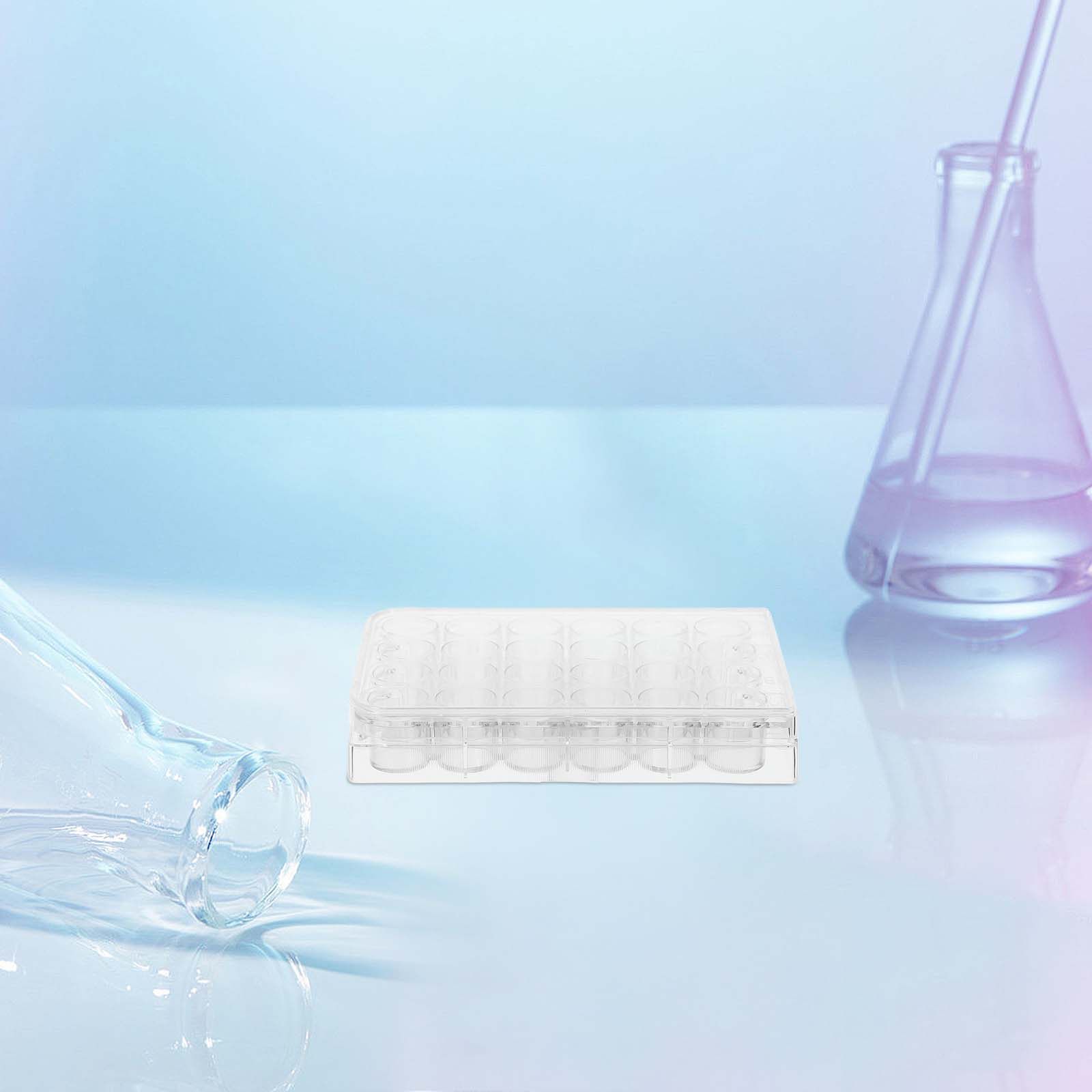 Lab Equipment - แผ่นเพาะเลี้ยงเซลล์ 24 หลุม 2 ชิ้น อุปกรณ์ห้องปฏิบัติการ