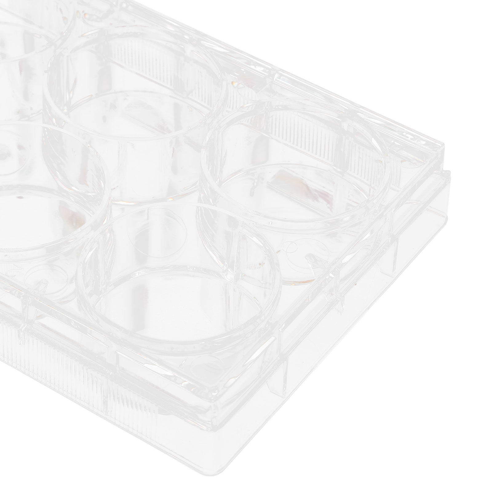 แผ่นเพาะเลี้ยงเนื้อเยื่อ 6 หลุ - Lab Equipment บทวิจารณ์และราคา